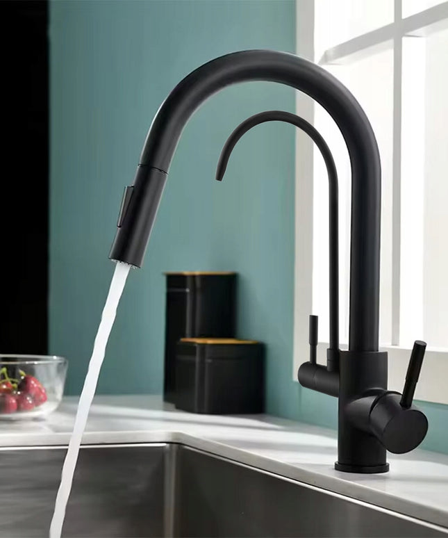 Maišytuvas virtuvinis REA ECO FRESH su dviem čiaupais juodas su ištraukiama maišytuvo galvute