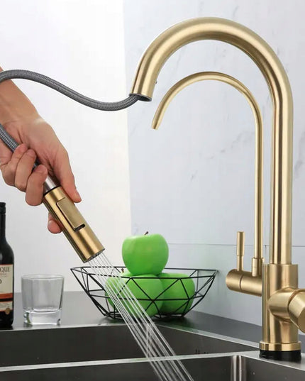 Auksinis virtuvės maišytuvas REA ECO FRESH su vandens filtru, dviejų čiaupų, matinė apdaila