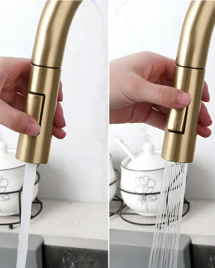 Auksinis virtuvės maišytuvas REA ECO FRESH su vandens filtru, dviejų čiaupų, matinė apdaila