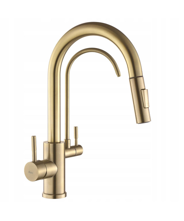 Auksinis virtuvės maišytuvas REA ECO FRESH su vandens filtru, dviejų čiaupų, matinė apdaila