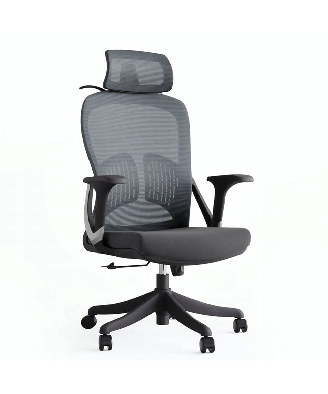 Ergonominė biuro kėdė Boste V1 - patogi, reguliuojama ir sukamoji