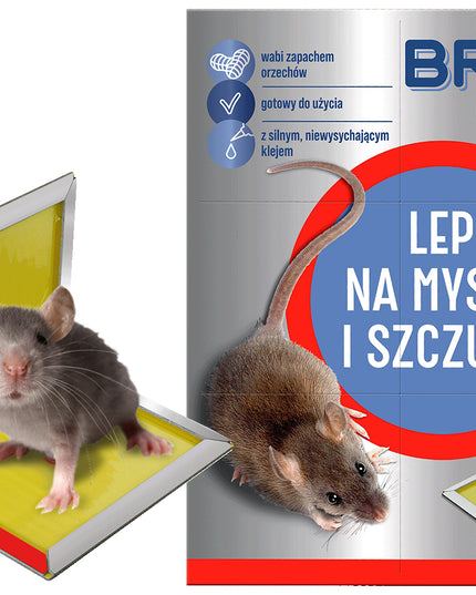 BROS Lipni gaudyklė pelėms ir žiurkėms, lipas vilioja riešutų kvapu - 10 vnt.