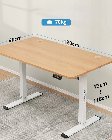 Reguliuojamo aukščio elektrinis kompiuterio stalas Triadyn WorkBase 1206 120x60cm