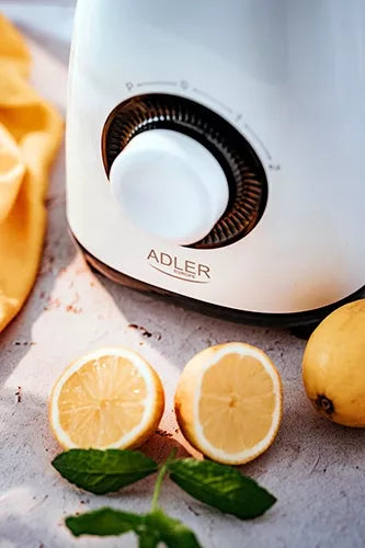 Adler AD4085 1,5L 1000W stalinis trintuvas