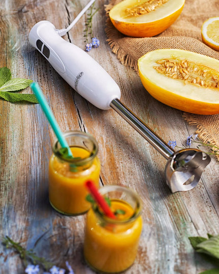 Rankinis blenderis MESKO MS 4619 300W 2 greičiai Nerūdijantis plienas Kompaktiškas