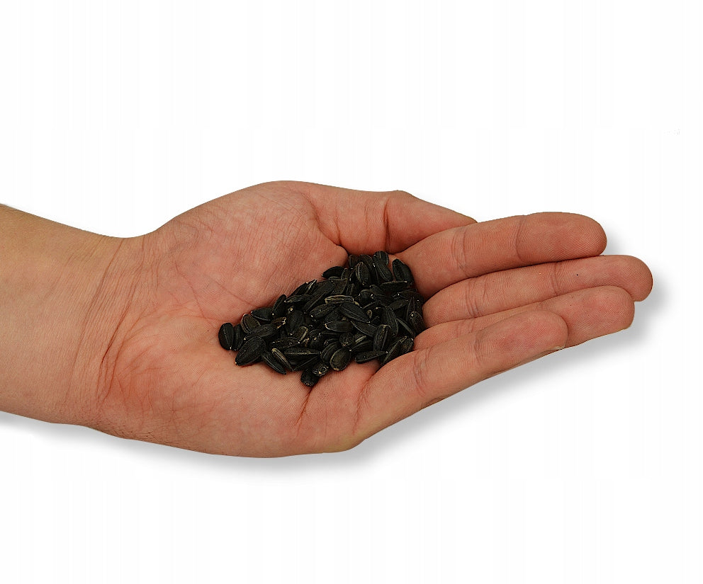 JUODOSIOS SAULĖGRĄŽOS SVEIKAS PAŠARAS MAISTAS SKANĖSTAS ŽIEMOJANTIEMS PAUKŠČIAMS 1KG