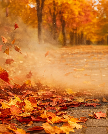 Elektrinis sodo lapų pūstuvų siurblys smulkintuvas galingas 3500W