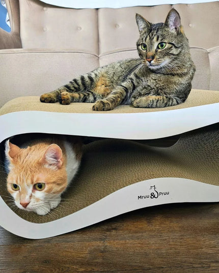 Mruu&Pruu LEON XXL draskyklė ir gultas didelėms katėms