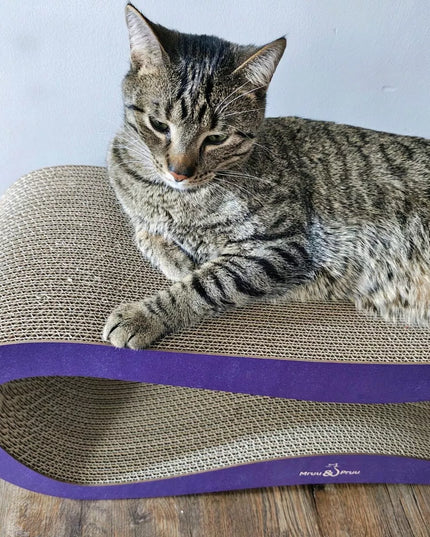 Katės draskyklė Mruu&Pruu LEON, violetinė