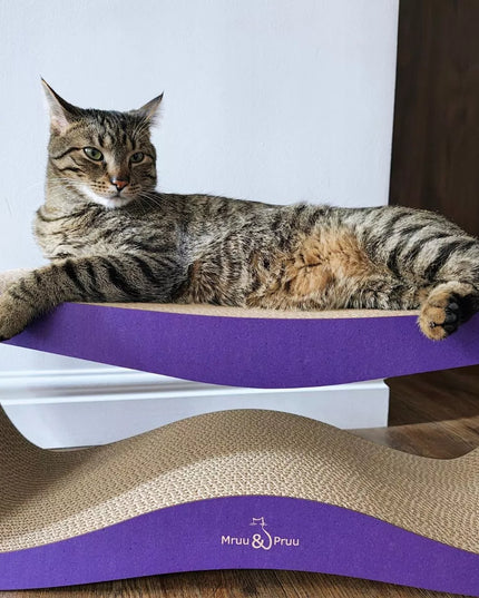 Katės draskyklė Mruu&Pruu LEON, violetinė