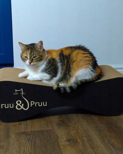 Juoda draskyklė Mruu&Pruu draskyklė katei Mimi