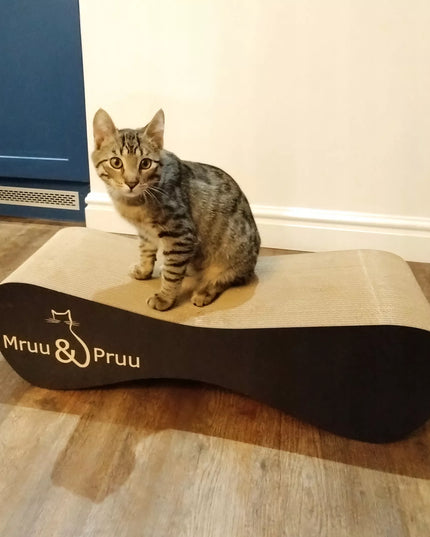 Juoda draskyklė Mruu&Pruu draskyklė katei Mimi