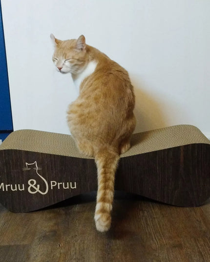 Žema draskyklė, guolis draskymui Mruu&Pruu 70 cm RUDOS SPALVOS