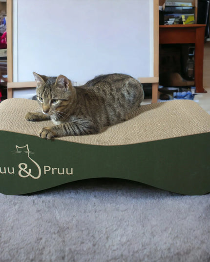 Mruu&Pruu 70 cm žalios spalvos draskyklė ir gultas katėms