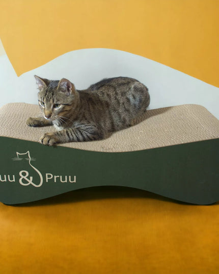 Mruu&Pruu 70 cm žalios spalvos draskyklė ir gultas katėms