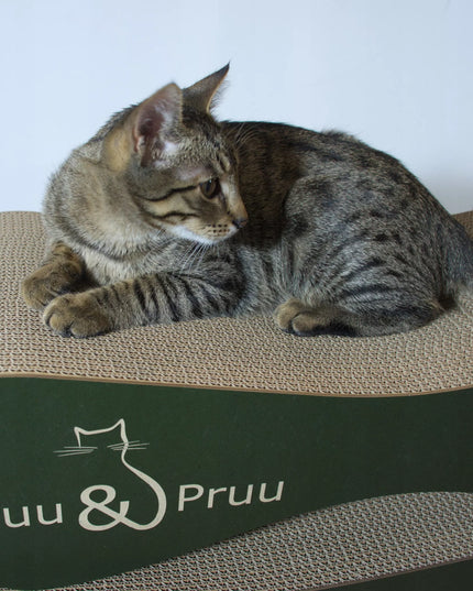 Mruu&Pruu 70 cm žalios spalvos draskyklė ir gultas katėms