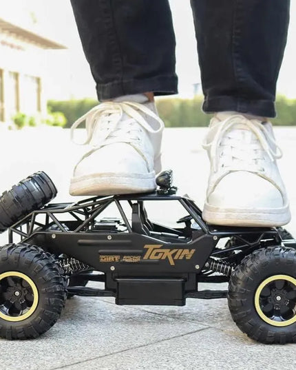 oreNICE didelis nuotoliniu būdu valdomas visureigis, metalinis RC automobilis, 4x4, 1:12