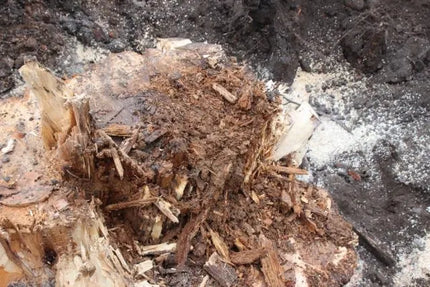 FAST ROT gyvoji grybiena kelmų ir šaknų šalinimui (5 kelmams)