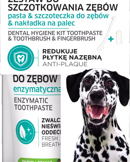 FRANCODEX Dantų valymo rinkinys su fermentiniu dantų pastu 70g