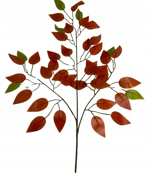 Fikus rudeninis lapas 60 cm