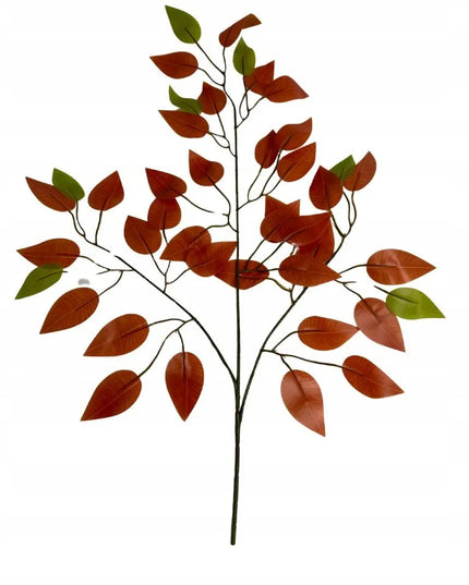 Fikus rudeninis lapas 60 cm