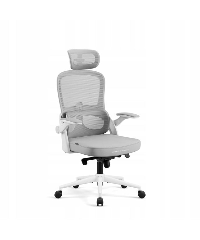 Ergonominė biuro kėdė DIABLO V-Light, balta-pilka