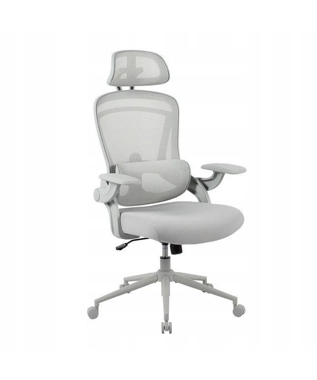Ergonominė biuro kėdė Spacetronik su reguliavimo funkcijomis, pilka