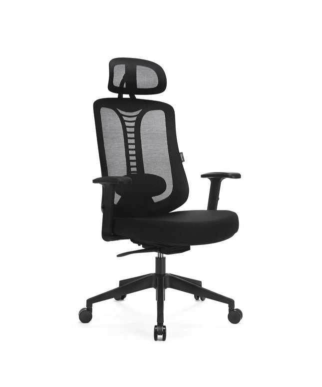 Ergonominė biuro kėdė žaidėjams LVNSYSTEM Ergo Essential