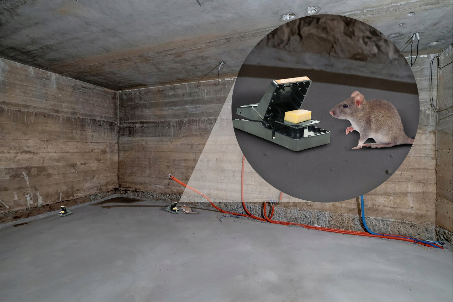 GILOTININIAI SPĄSTAI SU GAUDYKLE PELĖMS, ŽURKĖMS, GRAUŽIKAMS SX-5006 (5 VNT)