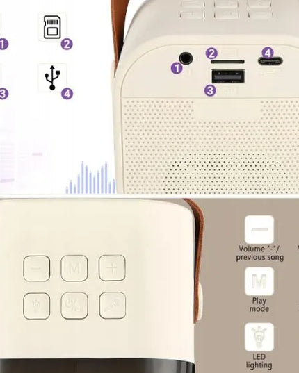 Przydasie.pl nešiojamoji „Bluetooth“ karaokės kolonėlė RGB, 2 mikrofonai, mini „Jack“, USB, SD