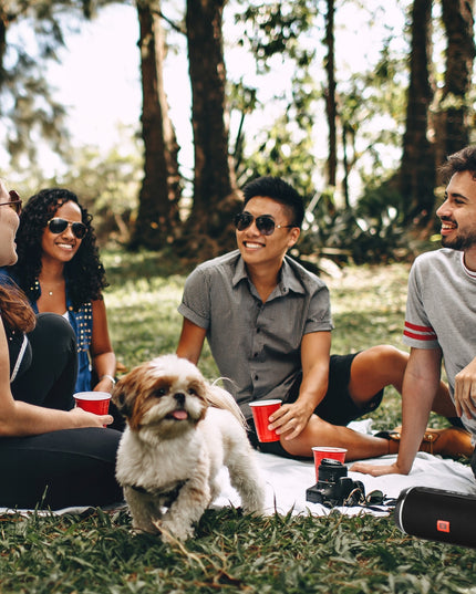 Nešiojamas Belaidis Bluetooth Garsiakalbis USB SD AUX FM Radijas Bokso Tipo Kolonėlė