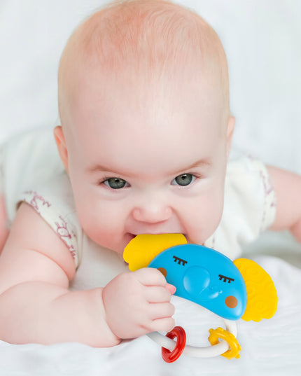 Barškučių ir kandiklių rinkinys - gyvūnėliai, 9 vnt. Mažyliui/Kūdikiui