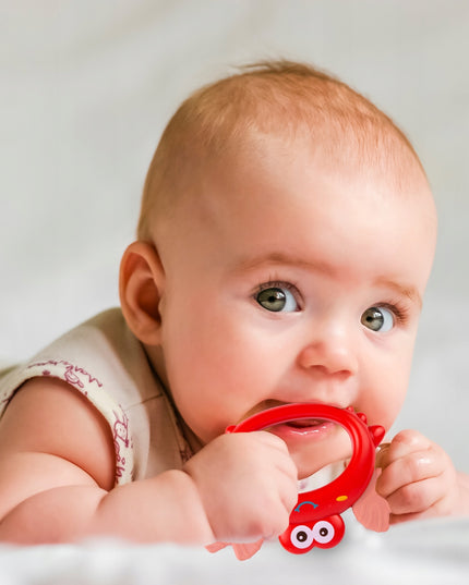 Barškučių ir kandiklių rinkinys - gyvūnėliai, 9 vnt. Mažyliui/Kūdikiui