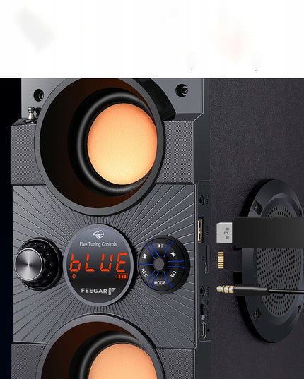 Nešiojamas Bluetooth garsiakalbis Feegar Dance 4000mAh Radijas USB SD AUX 3,5 mm lizdas