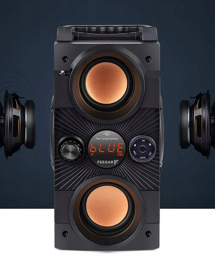 Nešiojamas Bluetooth garsiakalbis Feegar Dance 4000mAh Radijas USB SD AUX 3,5 mm lizdas