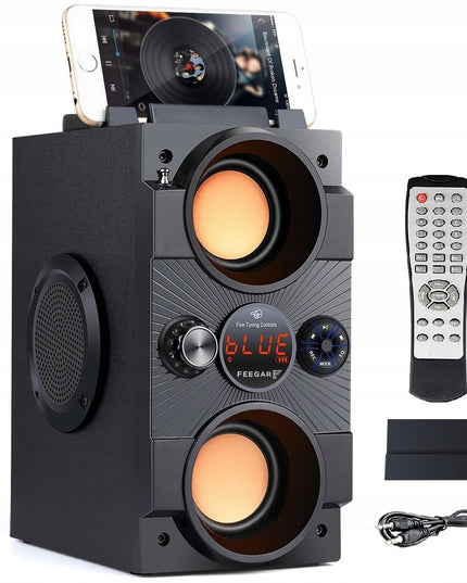 Nešiojamas Bluetooth garsiakalbis Feegar Dance 4000mAh Radijas USB SD AUX 3,5 mm lizdas