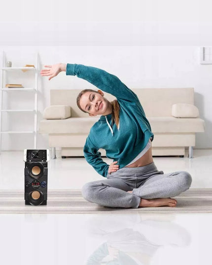 Nešiojamas „Bluetooth“ garsiakalbis „Feegar Dance“, 4000 mAh, FM radijas, USB, SD, AUX, 3,5 mm jungtis