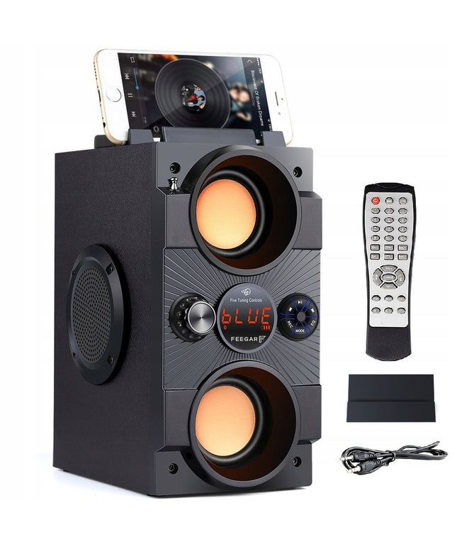 Nešiojamas Bluetooth garsiakalbis Feegar Dance 4000mAh Radijas USB SD AUX 3,5 mm lizdas