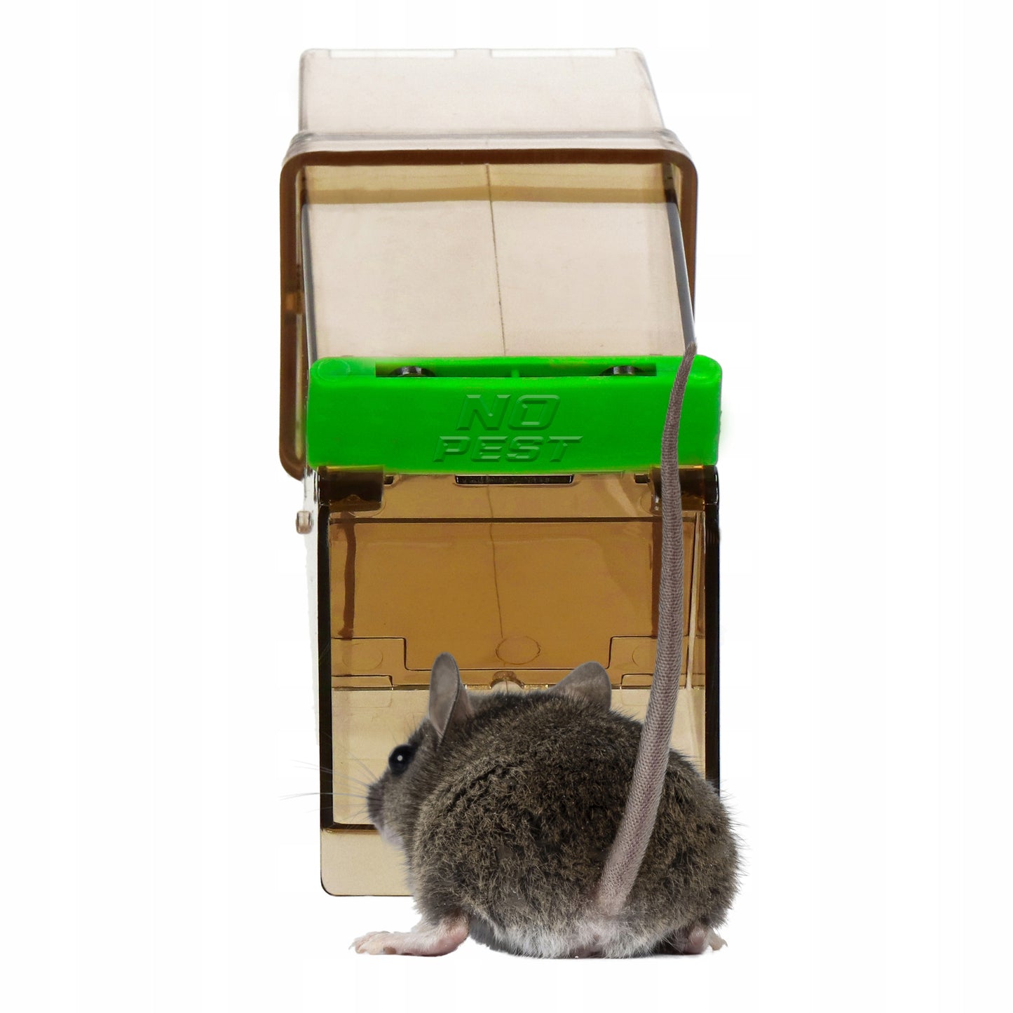 HUMANITARINIS GAUDYTUvas GYVATRAUKIS PELĖKAUTAI GRAUŽIKAMS NO PEST (5 VNT)