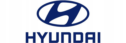 HYUNDAI VC914 belaidis vertikalusis dulkių siurblys grindims, kilimams ir baldams, baltas