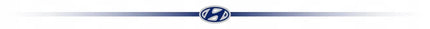 HYUNDAI VC914 belaidis vertikalusis dulkių siurblys grindims, kilimams ir baldams, baltas