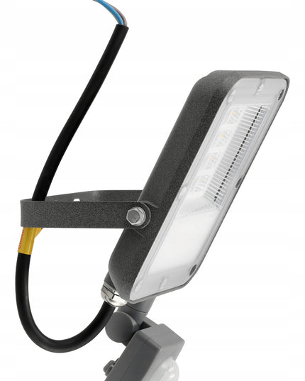 LED Prožektorius su judesio davikliu 30W 2700lm Premium Jutiklis