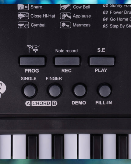 Elektroninė klaviatūra pianinas 61 klavišas vaikams su mikrofonu