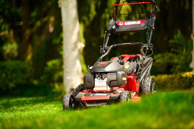 Benzininė vejapjovė Cedrus KS53S-H AL su Honda GCV200 varikliu, 53 cm