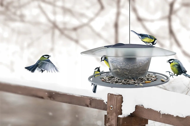 Apvali paukščių lesykla Birdyfeed – namelis žiemai