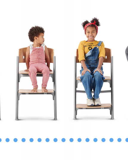 Kinderkraft Kėdutė maitinimui 3in1 110 kg LIVY Pilka