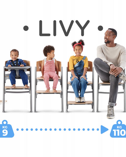 Kinderkraft Kėdutė maitinimui 3in1 110 kg LIVY Pilka