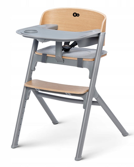 Kinderkraft Kėdutė maitinimui 3in1 110 kg LIVY Pilka