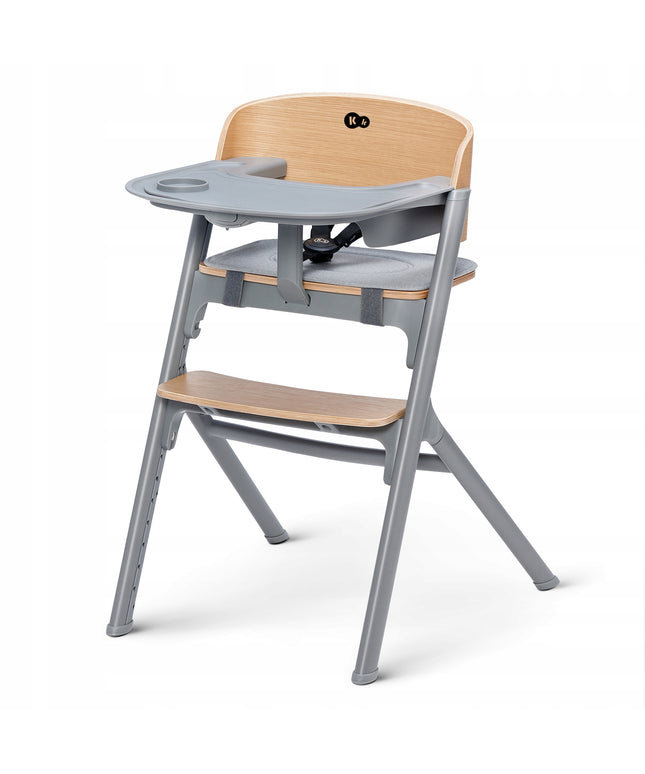 Kinderkraft Kėdutė maitinimui 3in1 110 kg LIVY Pilka
