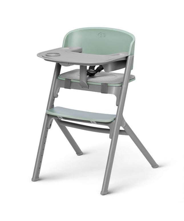Kinderkraft Kėdutė maitinimui 3in1 110kg LIVY Žalia